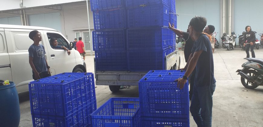 pengiriman ekspedisi makassar kota kendari