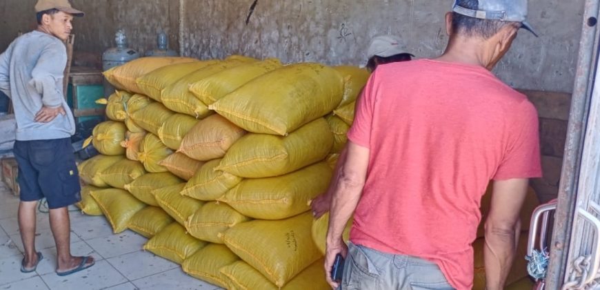 Pengiriman dari Polewali Ke Makassar 16 November 2022